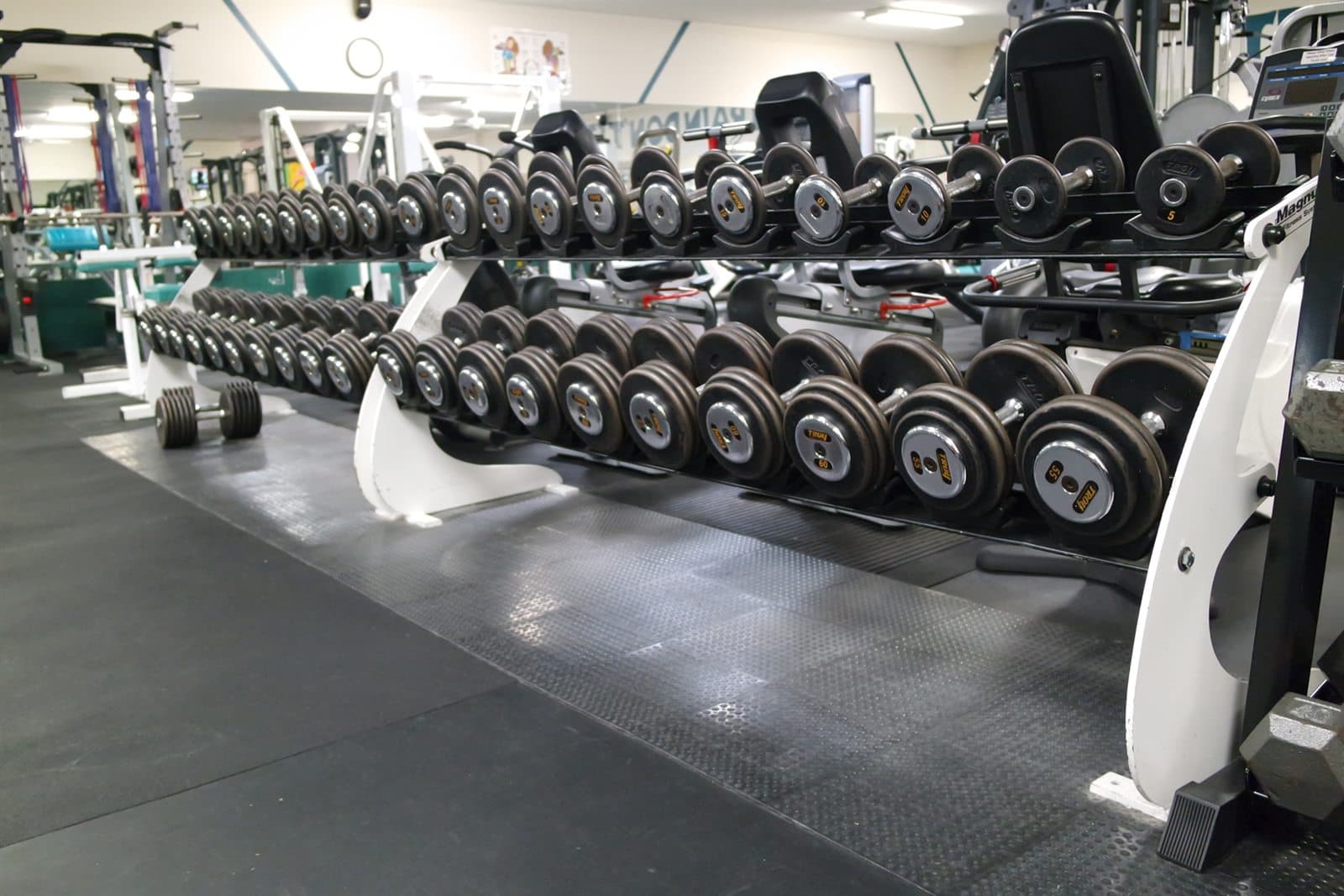 Dumbbell rack from 3 to 130 pounds, the largest free-weight section on Marco Island