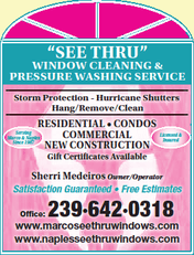 See Thru Window Cleaning